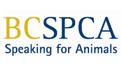 BC SPCA