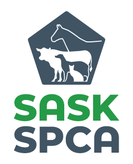 Sask SPCA
