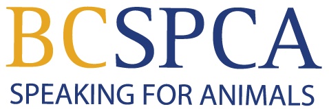 BC SPCA